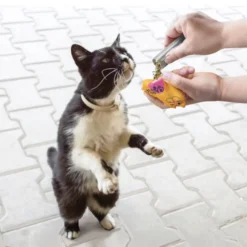 Kong Tubos recarregáveis com Catnip para gato