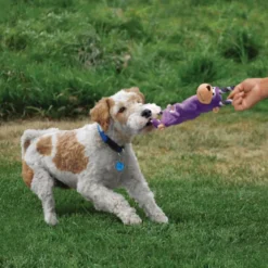 Kong Tugger Knots Sapo com Cordas de peluche para cães