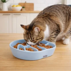 Leeby Comedouro Antivoracidade de Cerâmica para gatos