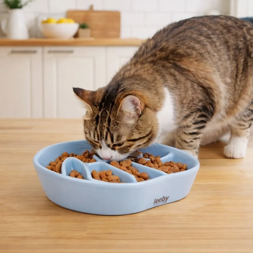 Leeby Comedouro Antivoracidade de Cerâmica para gatos