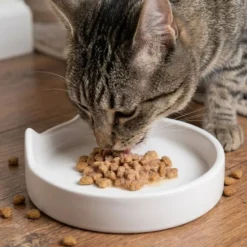 Leeby Comedouro de Cerâmica Branco com Orelhinhas para gatos
