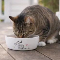 Leeby Comedouro de Cerâmica Branco para gatos