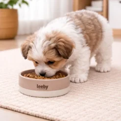 Leeby Comedouro de Cerâmica Castanho e Branco para cães