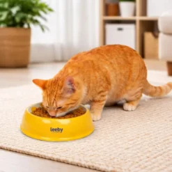 Leeby Comedouro de Cerâmica Estampado Limão para gatos