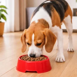 Leeby Comedouro de Plástico Vermelho para cães e gatos