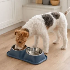 Leeby Comedouro Duplo de Metal Azul para cães