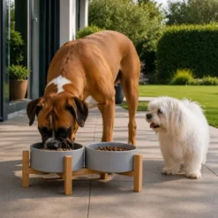 Leeby Comedouro Duplo em Cerâmica com Suporte de Madeira para cães