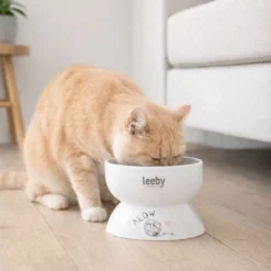 Leeby Comedouro Elevado de Cerâmica Branco para Gatos