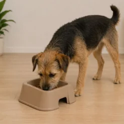Leeby Comedouro Quadrado Taupe para cães