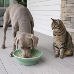 Leeby Comedouro Verde de Silicone para gatos