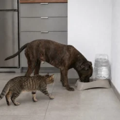 Leeby Dispensador de Água para cães e gatos