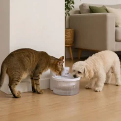 Leeby Fonte de Água Sem Fios Branca para cães e gatos