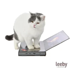 Leeby Lily arranhador de cartão em forma de portátil para gatos