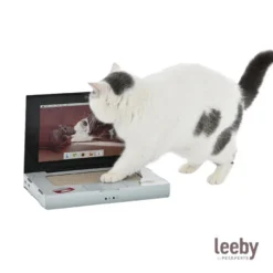 Leeby Lola arranhador de cartão em forma de portátil para gatos