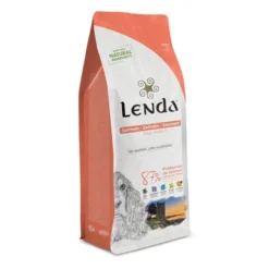 Lenda Original Salmão ração para cães
