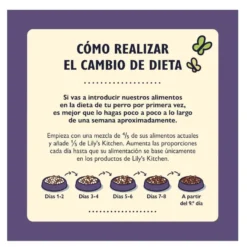 Lily's Kitchen Adult +8 Pure e Truta ração para cães