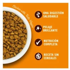 Lily's Kitchen Grain Free Frango ração para gatos