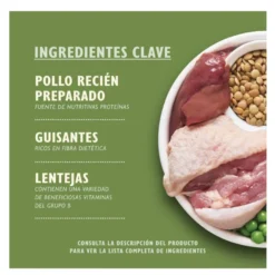 Lily's Kitchen Organic Frango e Legumes ração para cães