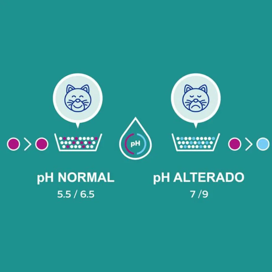 Lindocat Advance Control Areia Aglomerante para gatos
