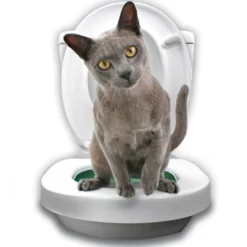 Litter Kwitter Kit WC Anéis Iniciação para gatos