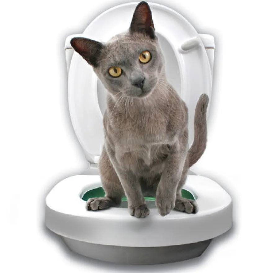 Litter Kwitter Kit WC Anéis Iniciação para gatos