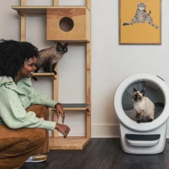 Litter-Robot Caixa de Areia Automática Branca para gatos