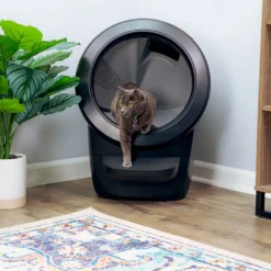Litter-Robot Caixa de Areia Automática Preta para gatos