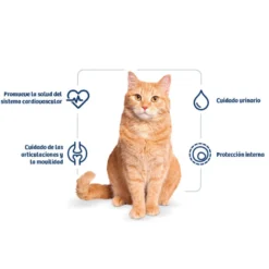 Nath Adult Frango e Arroz ração para gatos