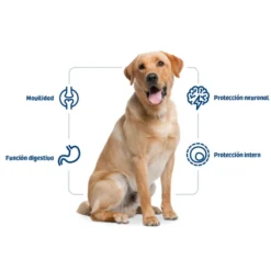 Nath Adult Maxi Frango ração para cães