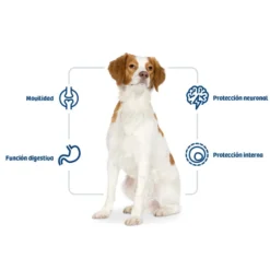 Nath Adult Medium Frango ração para cães