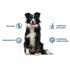 Nath Adult Medium / Maxi Sensitive Peixe Branco e Salmão ração para cães