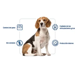 Nath Adult Medium Maxi Weight Control Frango ração para cães