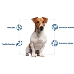 Nath Adult Mini Frango ração para cães
