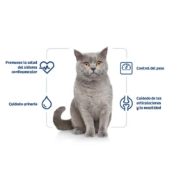 Nath Adult Sterilised Frango e Arroz ração para gatos