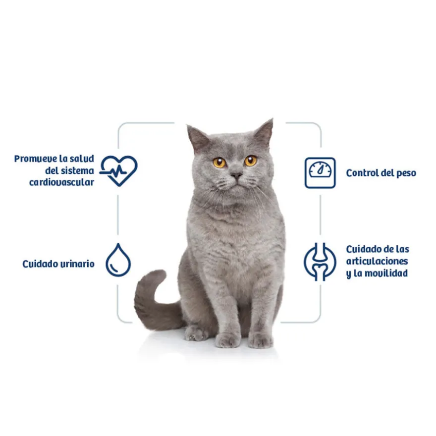 Nath Adult Sterilised Frango e Arroz ração para gatos