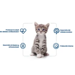 Nath Kitten Frango e Arroz ração para gatos