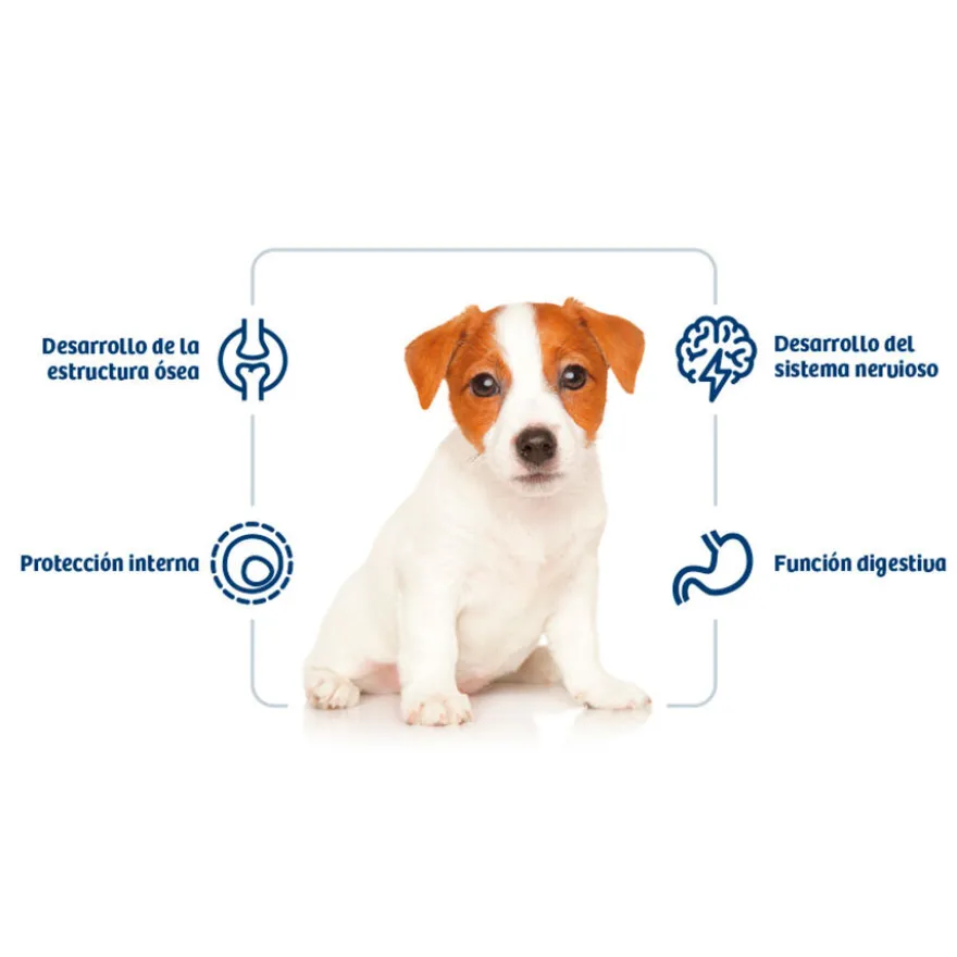 Nath Puppy Mini Frango ração para cães