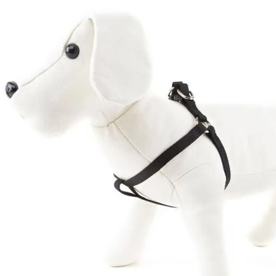 Nayeco Basic Peitoral Preto para cães