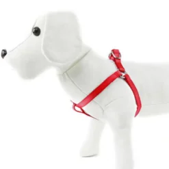 Nayeco Basic Peitoral Vermelho para cães