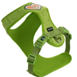 Nayeco Peitoral Verde com Estampado de Estrelas para cães