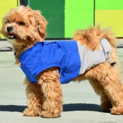 Nayeco X-TRM Capa de Chuva Azul e Cinzenta para cães