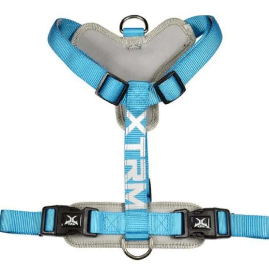 Nayeco X-TRM Cronos Neon Peitoral Azul para cães