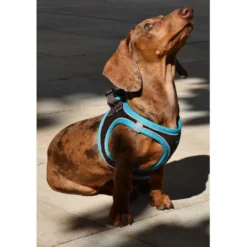 Nayeco X-TRM Neo Castanho Peitoral para cães