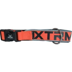 Nayeco X-TRM Neon Flash Coleira Laranja para cães