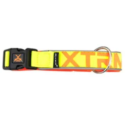 Nayeco X-TRM Neon Flash Coleira Limão para cães