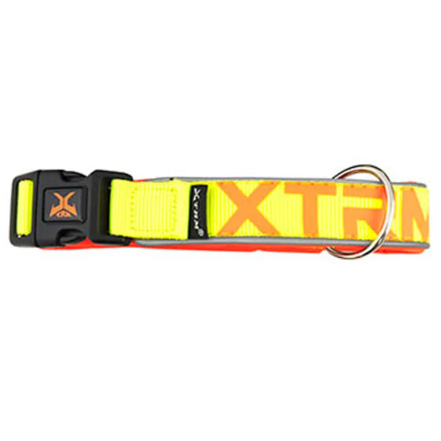 Nayeco X-TRM Neon Flash Coleira Limão para cães