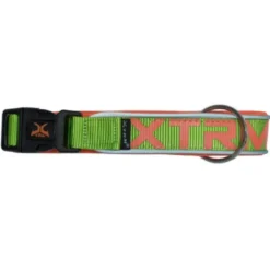 Nayeco X-TRM Neon Flash Coleira Verde para cães