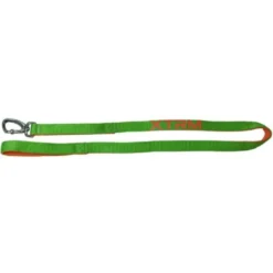 Nayeco X-TRM Neon Flash Trela Verde para cães