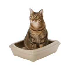 Nice Care Caixa de areia bege para gatos