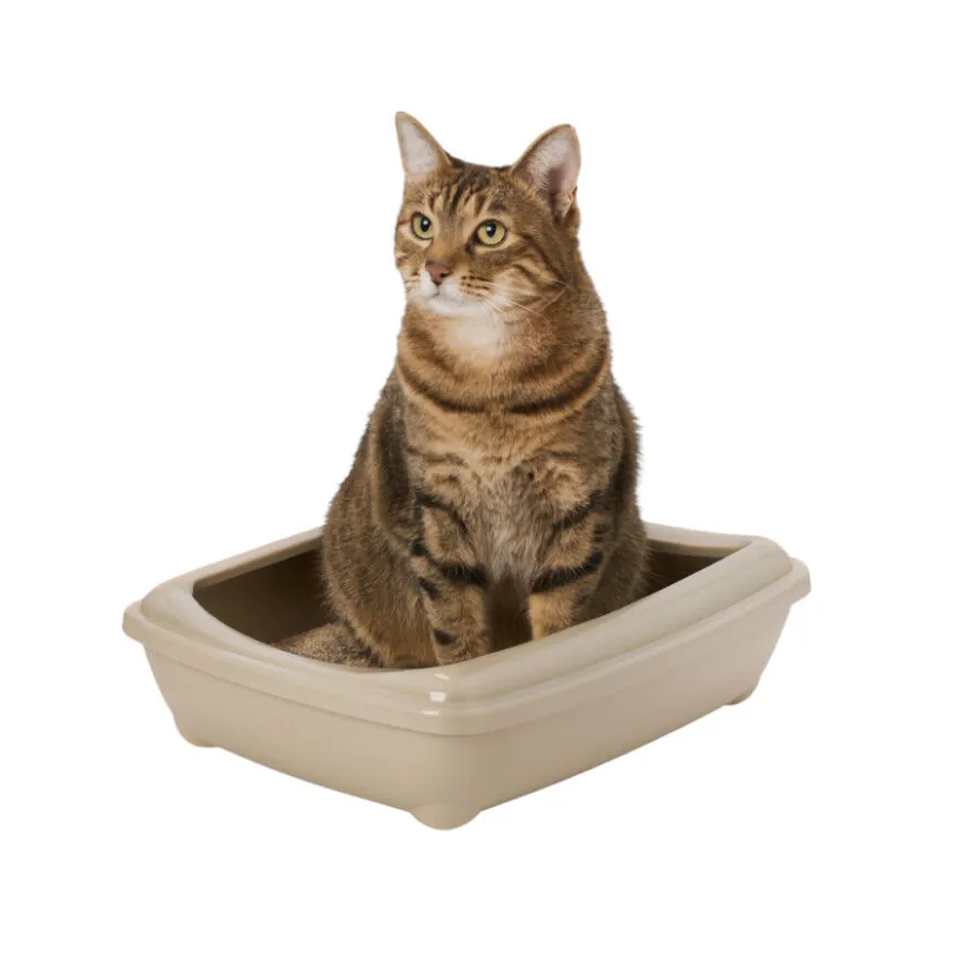 Nice Care Caixa de areia bege para gatos